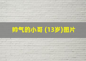 帅气的小哥 (13岁)图片